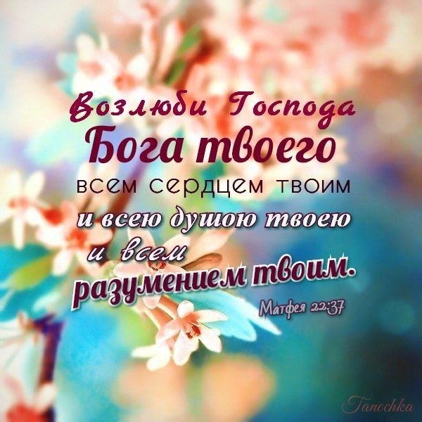 Христианские стихи из Библии