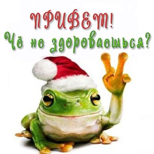 Открытки привет прикольные