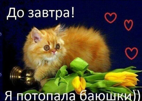 Открытки спокойной ночи до завтра