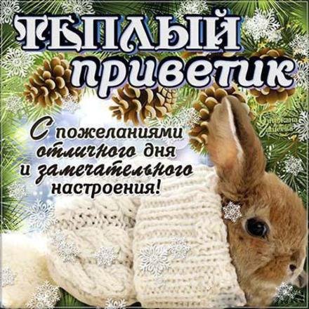 Зимний приветик открытки