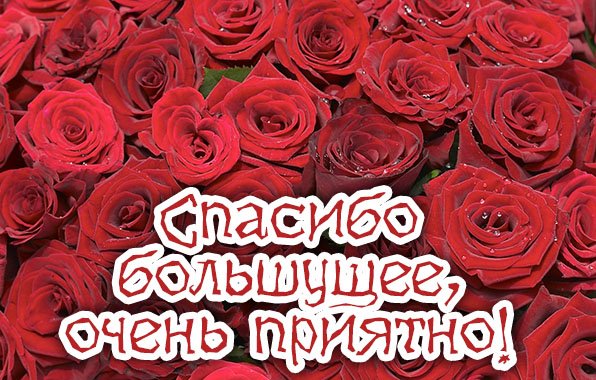 Спасибо очень приятно