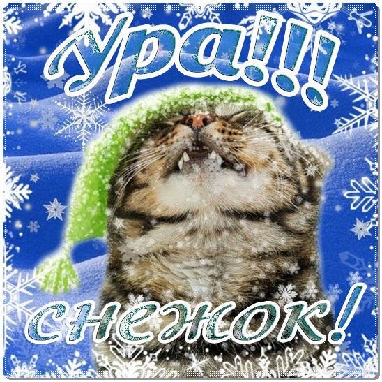 Открытки с первым снегом