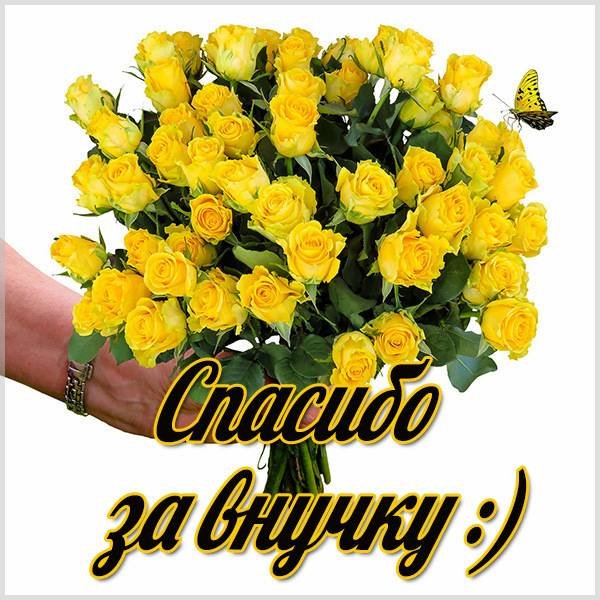 Открытка спасибо за внучку