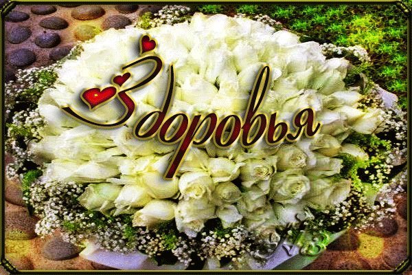 Пожелания здоровья