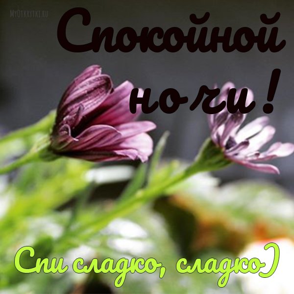 Смешные ангелочки