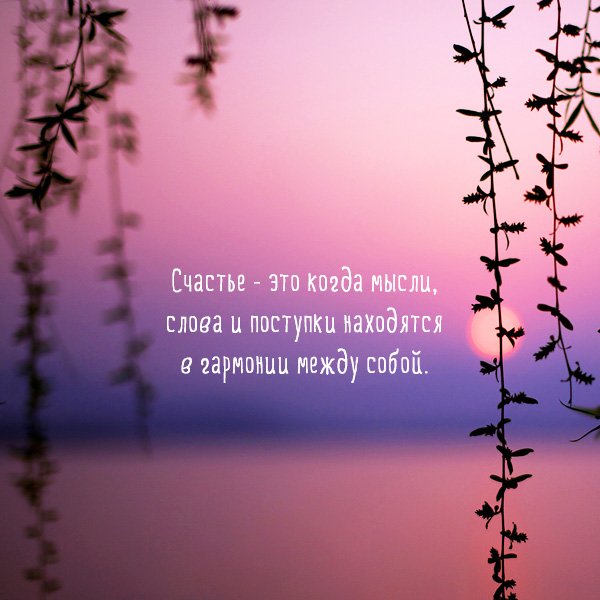 Цитаты про счастье