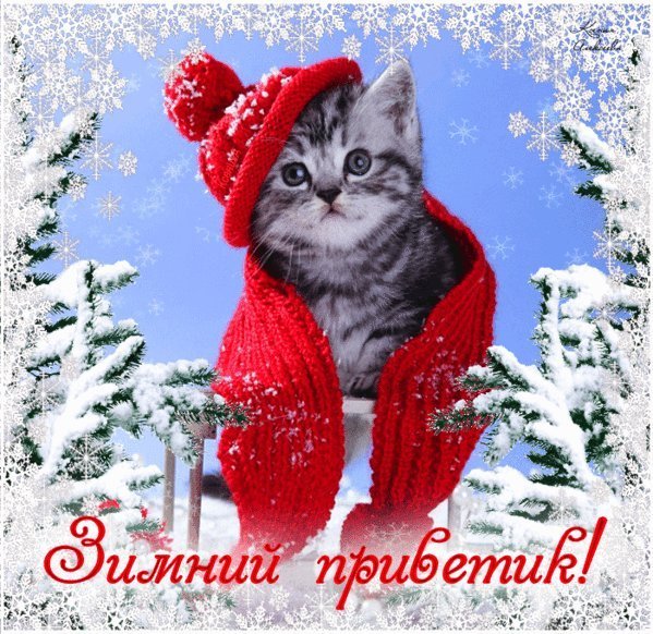 Зимний привет