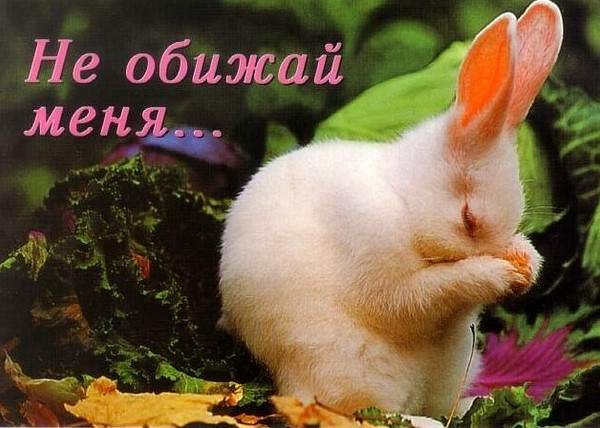 Открытка ты обиделся на меня