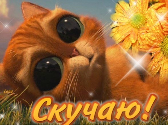 Открытки скучаю по тебе