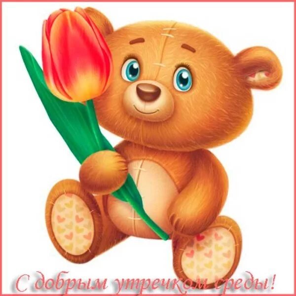 Классной среды прикольные