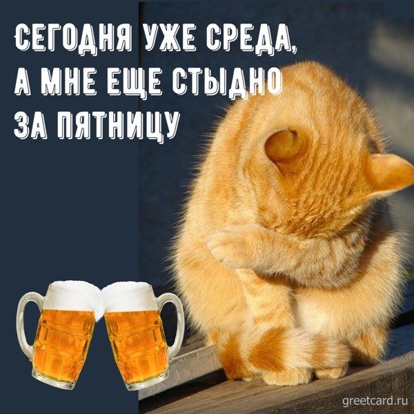 Открытки со средой