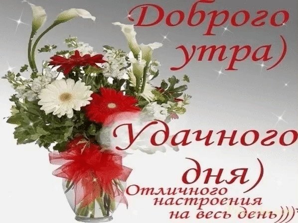 Шуточные пожелания с добрым утром