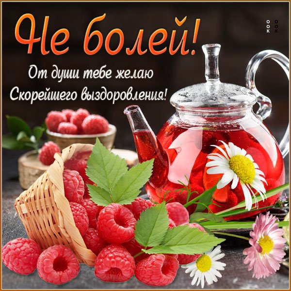 Скорейшего выздоровления картинки женщине душевные