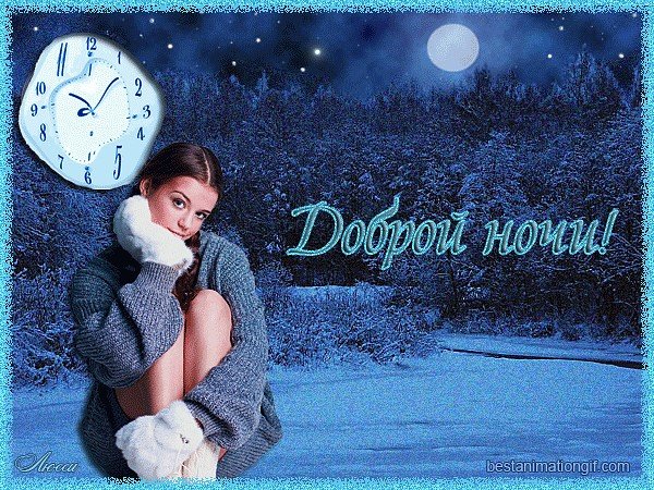 Спокойной зимней ночи