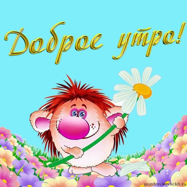 Весёлая открытка с добрым утром девушке