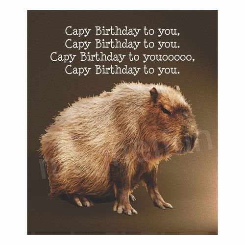 Капибара Стикеры