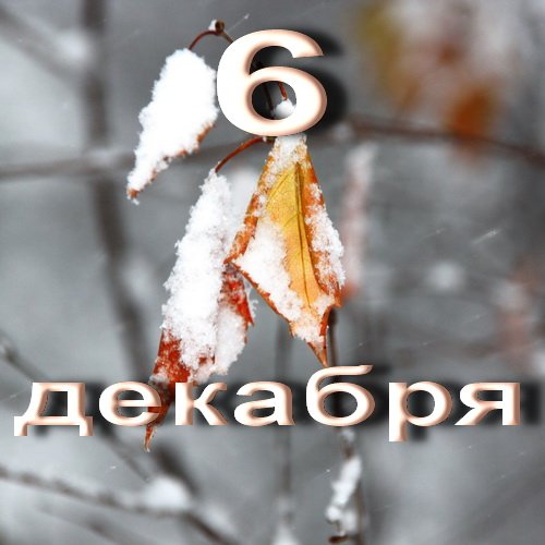 6 Декабря день