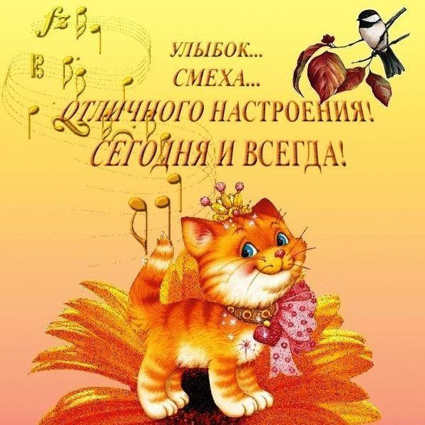 Веселые открытки для хорошего настроения