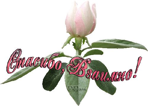 Спасибо взаимно