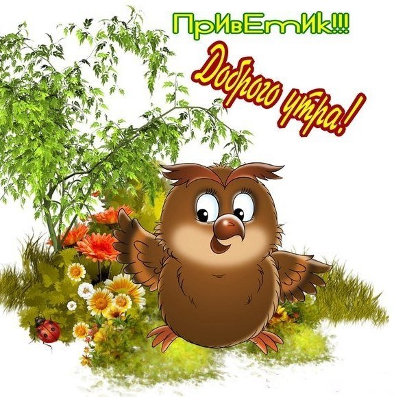Привет с добрым утром