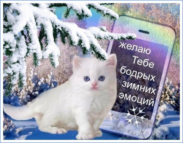 Доброе зимнее утро здоровья и благополучия