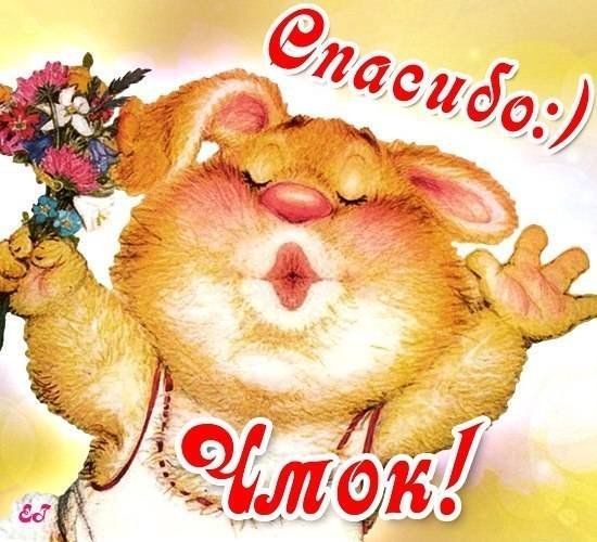 Смешные открытки с благодарностью