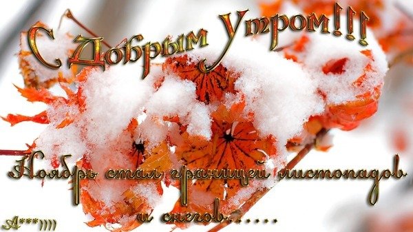 Открытки с добрым утром ноябрьские красивые