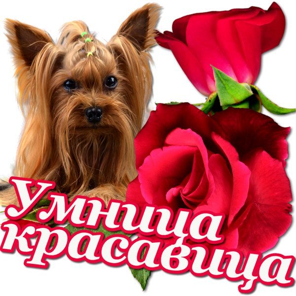 Красивые комплименты подруге