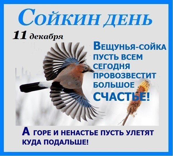 Сойкин день народный календарь