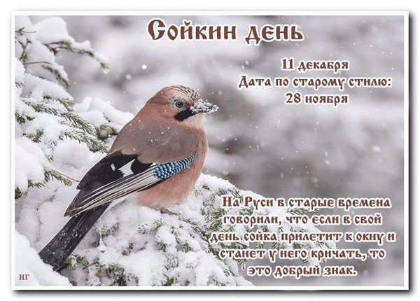 Международный день гор