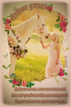 Художник Чистотина Евгения Александровна