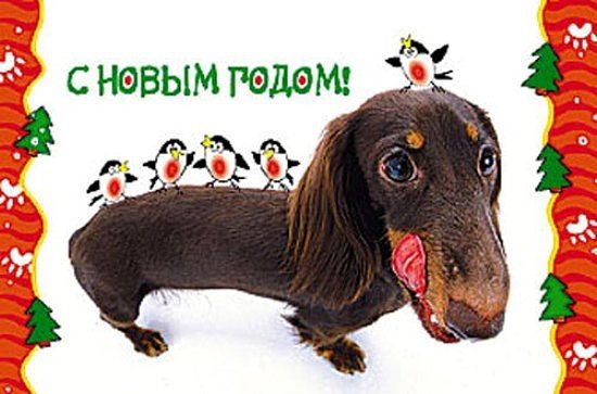 Широкоформатные новогодние таксы