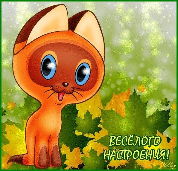 Открытка веселая для настроения