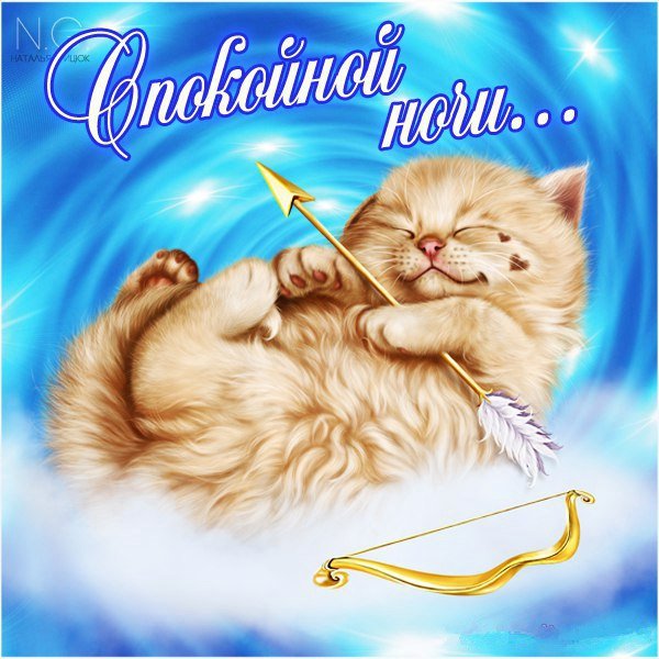 Спокойной ночи сладких снов