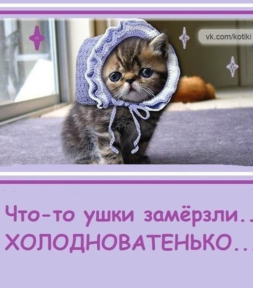 Доброе утро холодно