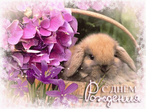 Винтажные зайцы