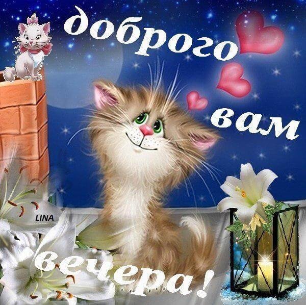 Добрый вечер