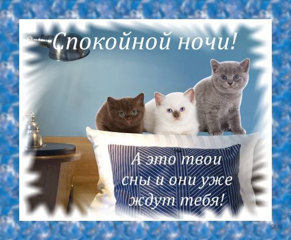 Спокойной ночи мама