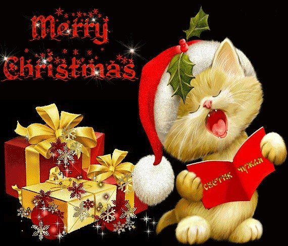 Merry Christmas живые открытки