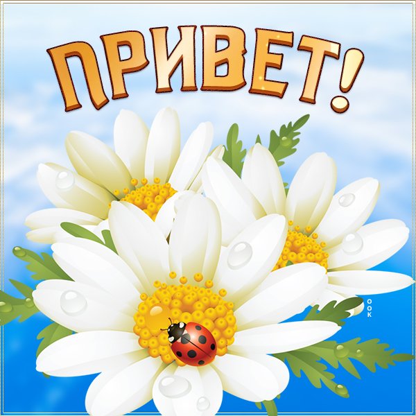 Привет картинки