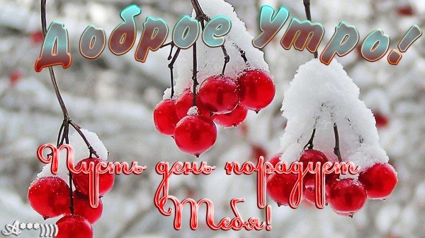 С добрым зимним утром субботы