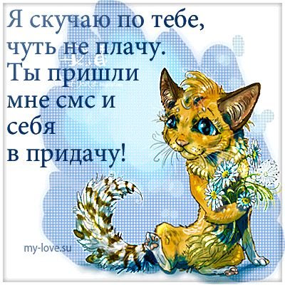 Я уже соскучилась