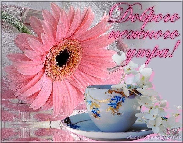 Нежные поздравления с добрым утром
