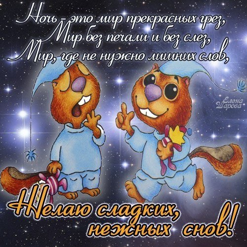 Прикольные пожелания спокойной ночи