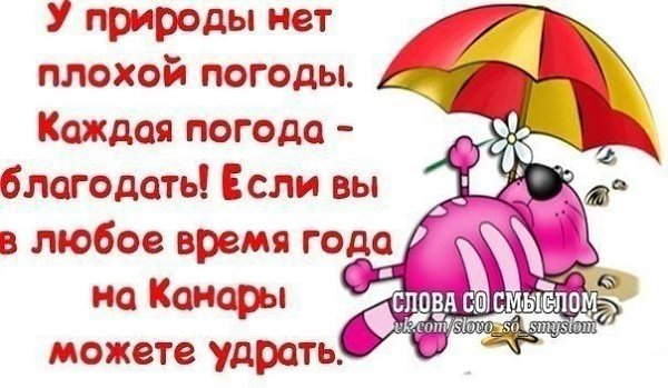 У погоды нет плохой погоды