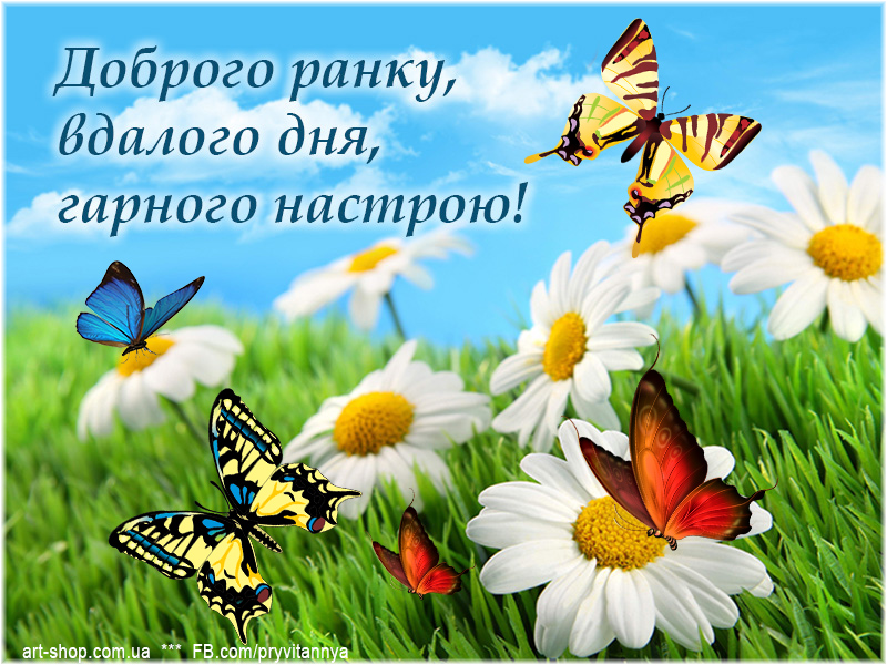 Добрые пожелания на украинском языке. Доброго ранку. Доброго ранку гарного дня. Хорошего настроения на украинском языке. Доброго дня гарного настрою.