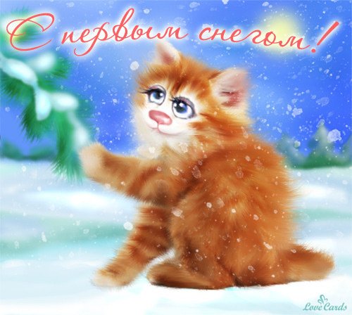 Добро утро первый снег