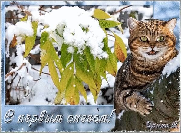 Доброе утро с первым снегом открытки (33 фото)