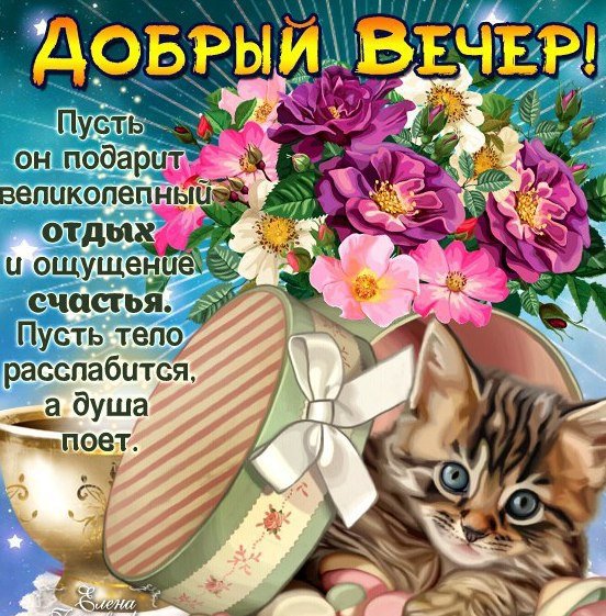 Стикеры добрый вечер