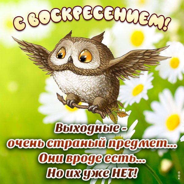 Воскресенье цитаты